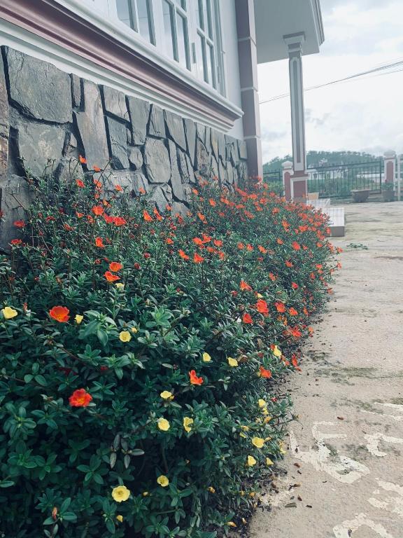 Biệt thự November Đà Lạt