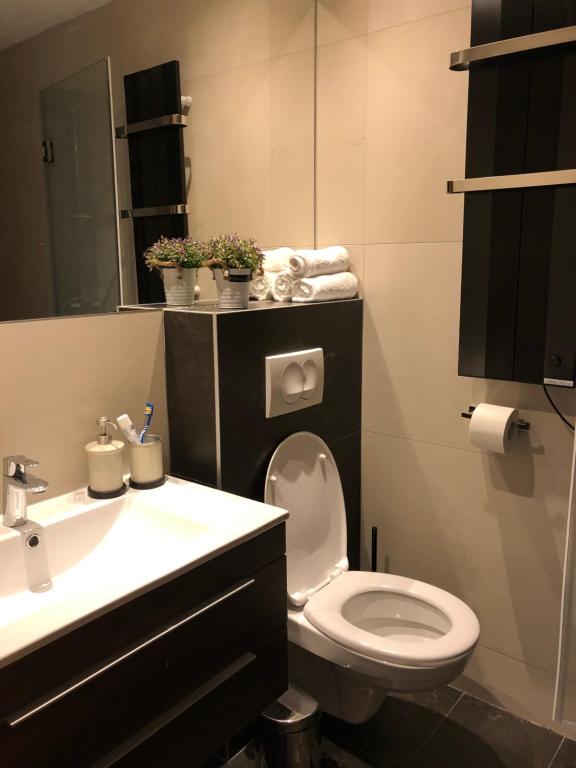Vila Irina Kopaonik - Apartman Jovana - 5