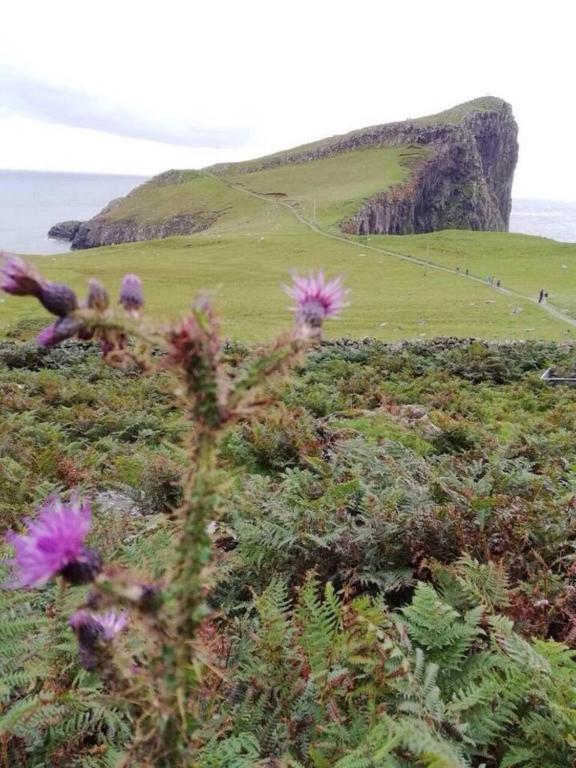 Birdsong Bothy Inviting 1 Bedroom House in Colbost photo