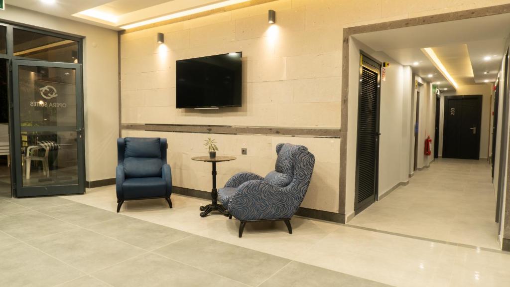 共用ラウンジ/TVエリア