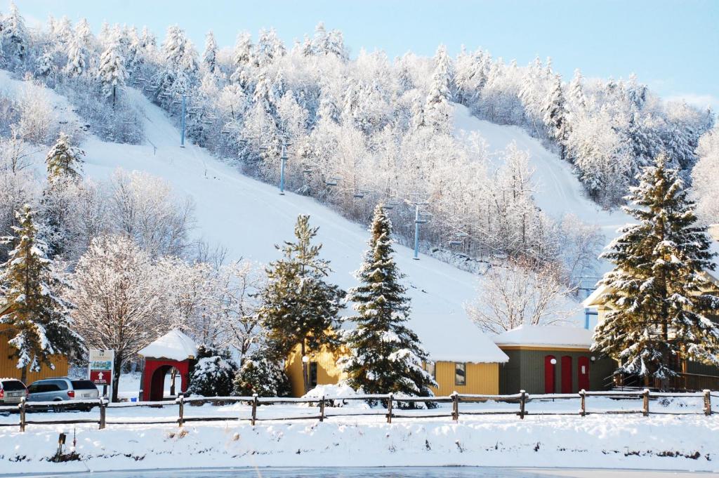 Calabogie Peaks Resort Ascend Hotel Collection Photo 40