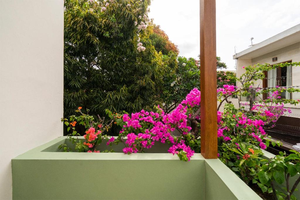 Villa Athena photo