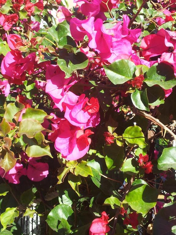 Cơ sở vật chất