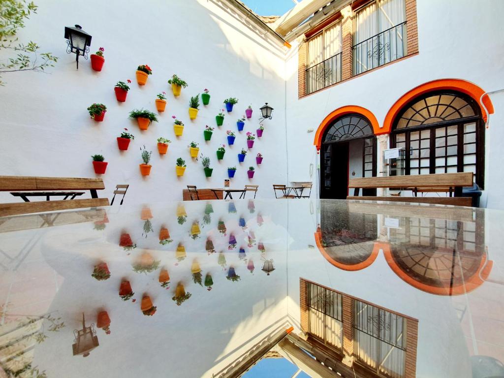 Arc House Cordoba photo