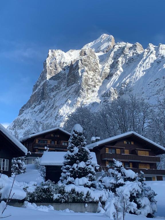Chalet Sunneblick - 3