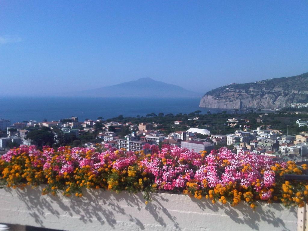 Hotel Cristina - img