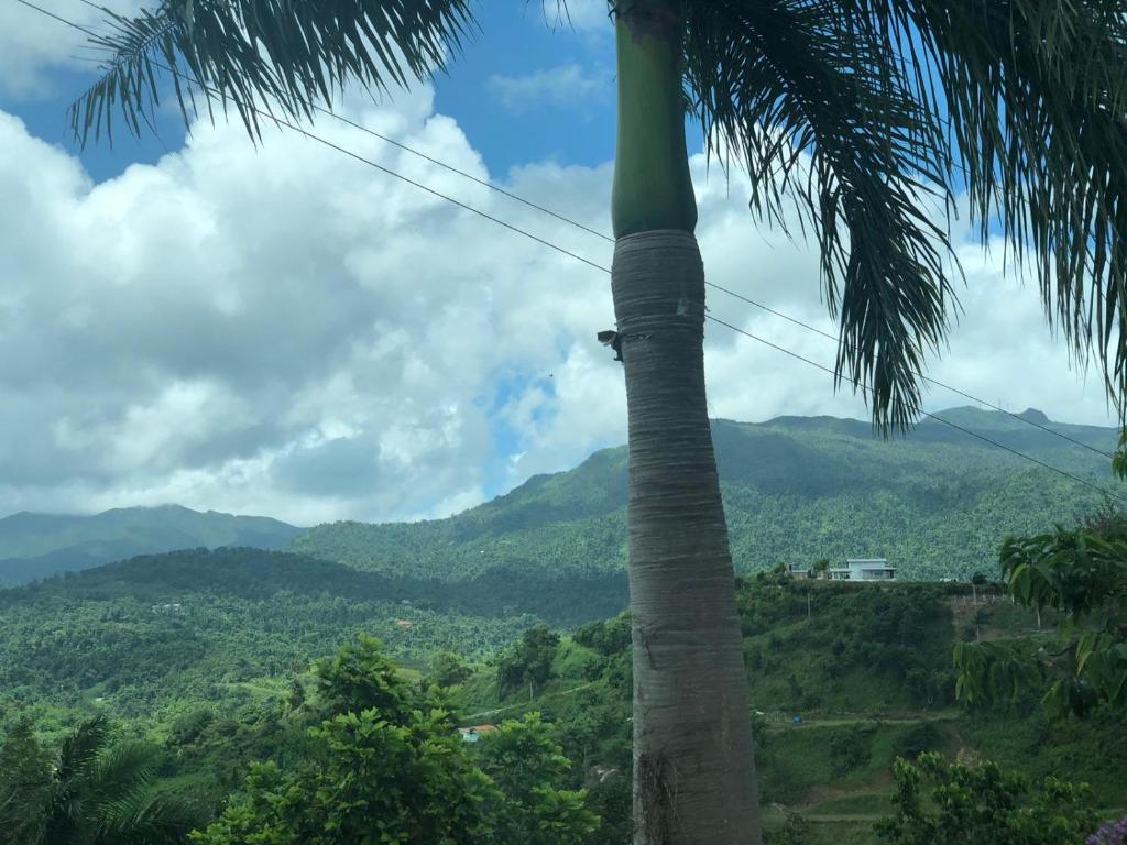 Ocean & Mountain Lodge en Luquillo, Puerto Rico opiniones, precios of Hotels