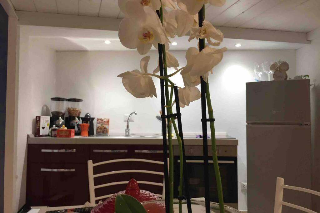 호텔 사진