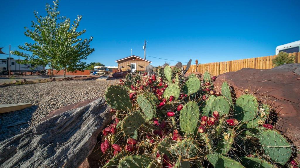 FunStays Glamping Tiny House w Loft Site 7 photo