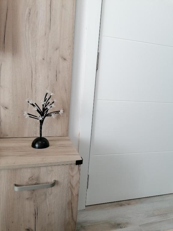 Apartman Div Kopaonik - 4