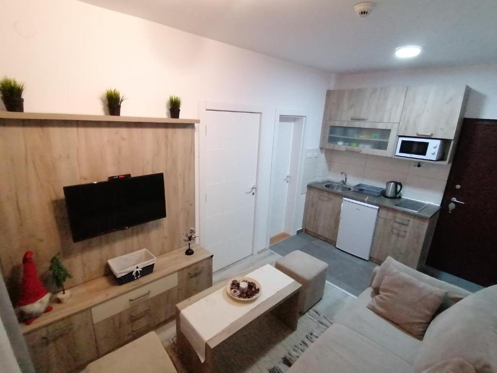 Apartman Div Kopaonik - 3