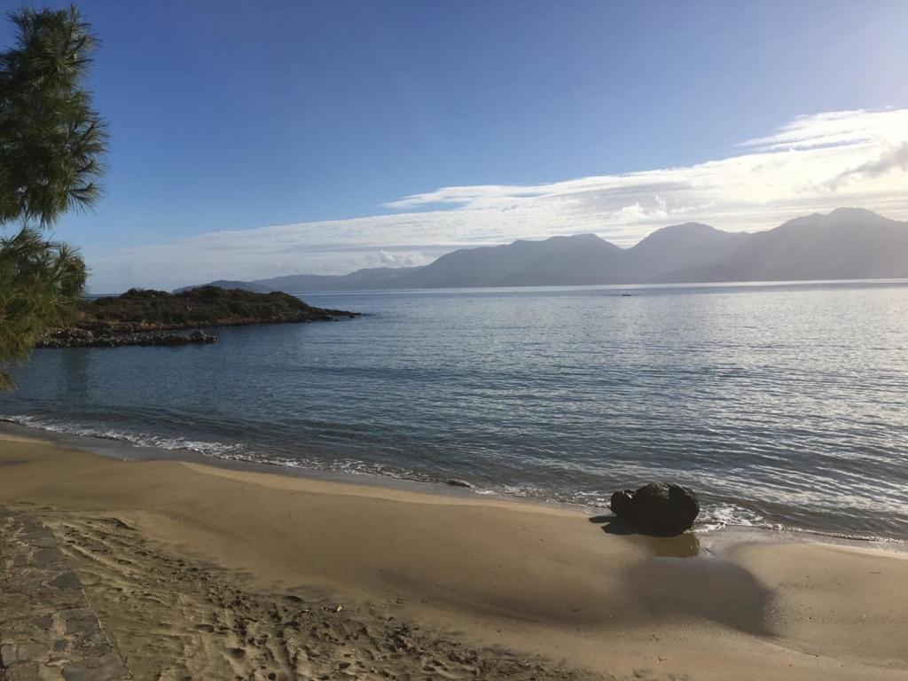 Fissi Villas agritourism accommodation near the sea photo