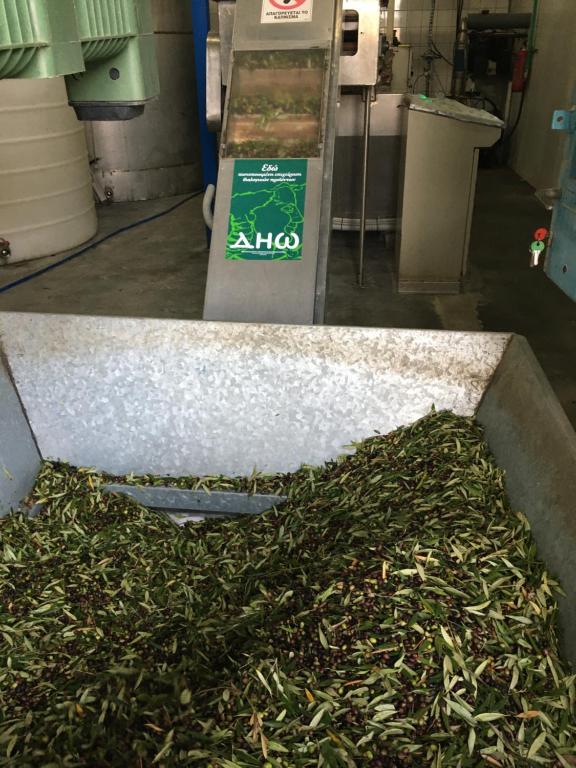 Fissi Villas agritourism accommodation near the sea photo