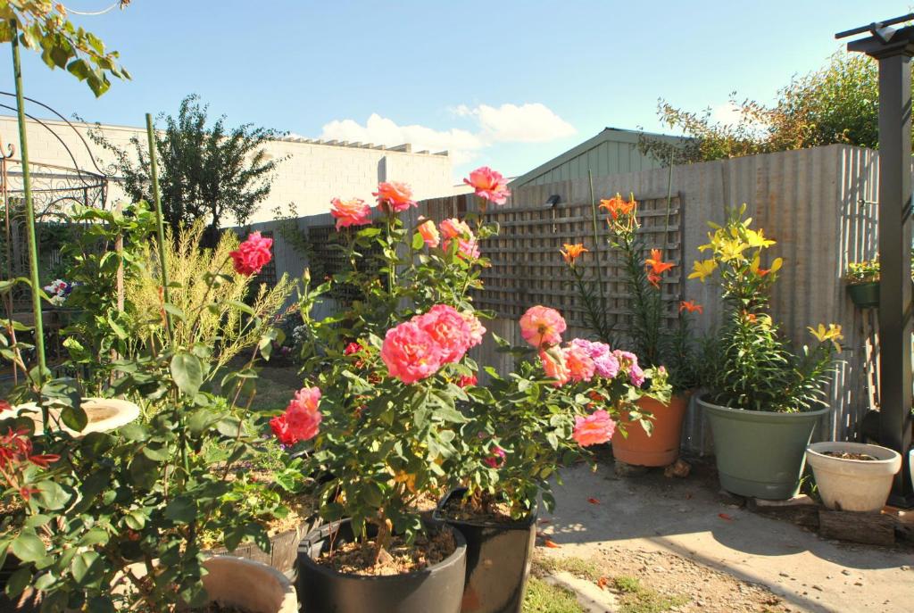 Cooma Cottage photo
