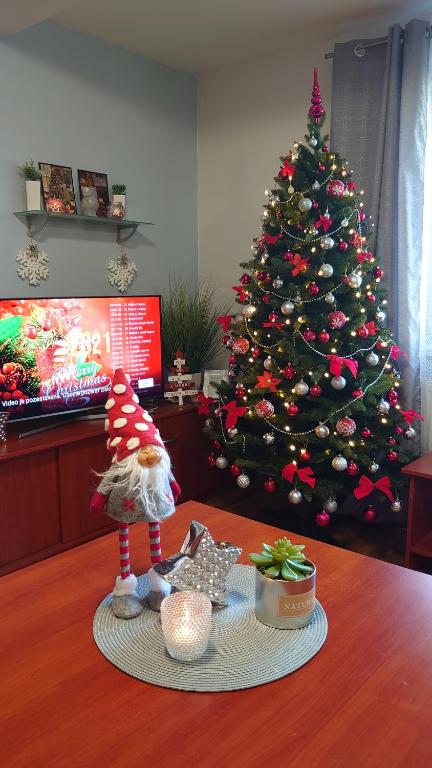 Apartman Patris 40 photo