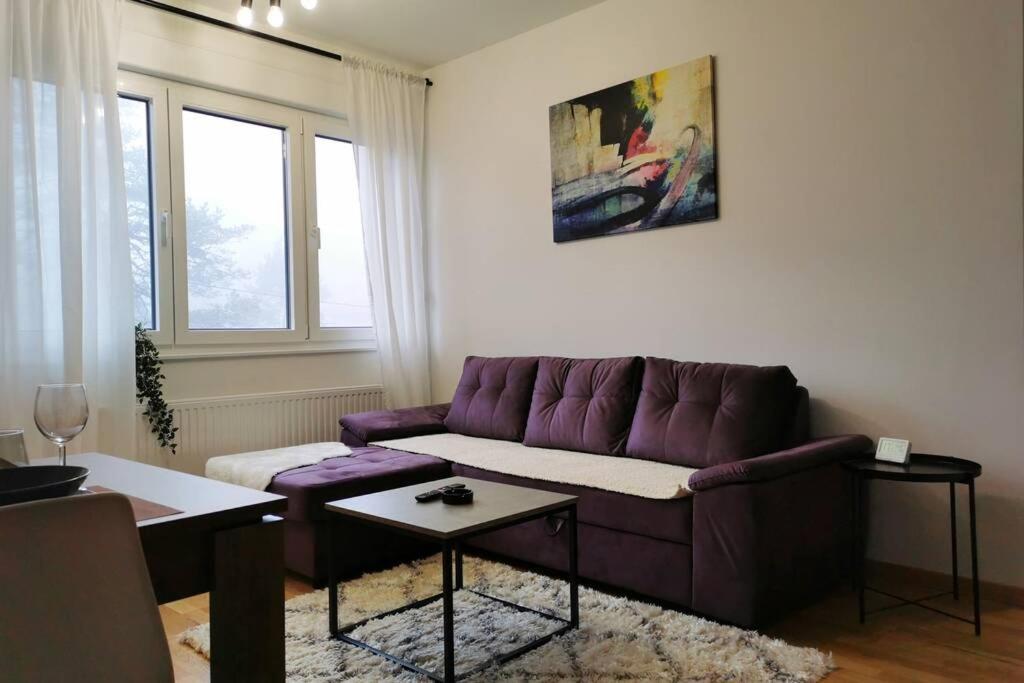 Apartman Winter Magic Divcibare - 2