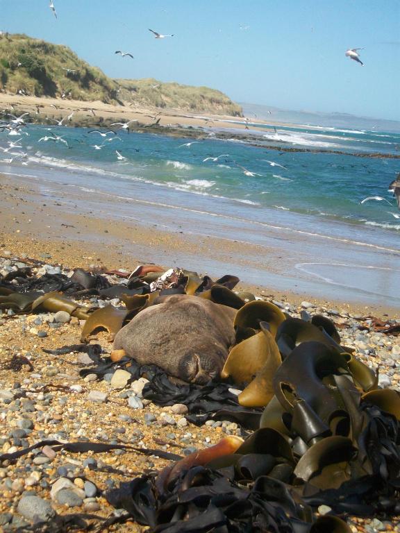 Catlins Retreat photo