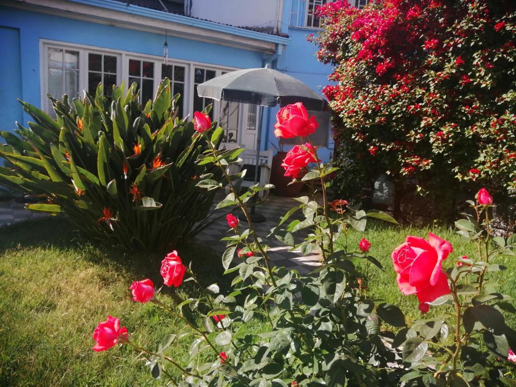La Cascarona photo
