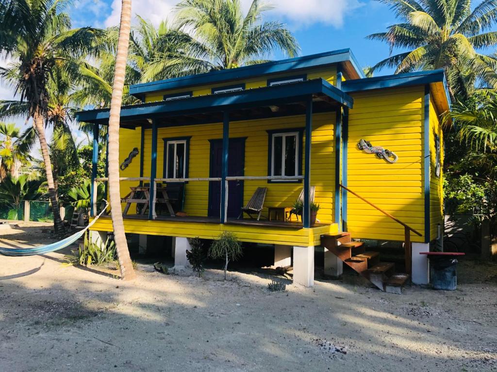 The Gumbo Limbo - Aria Kat Art Cabana photo