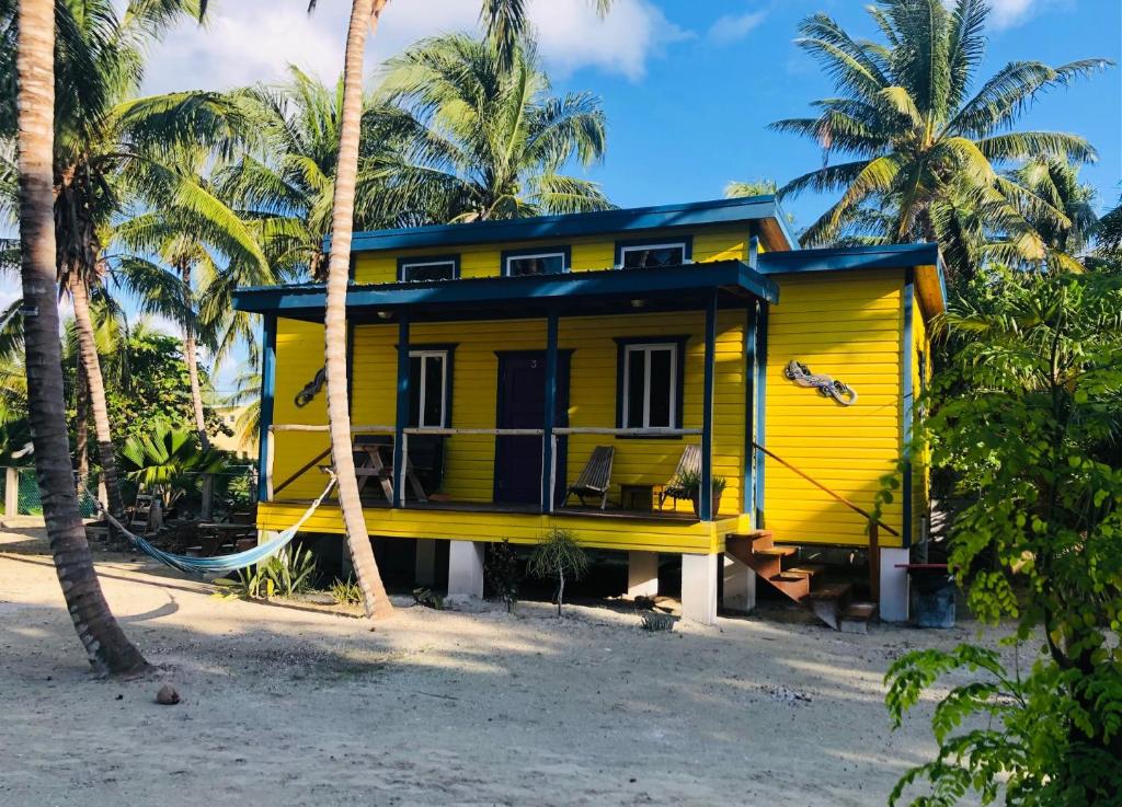 The Gumbo Limbo - Aria Kat Art Cabana photo