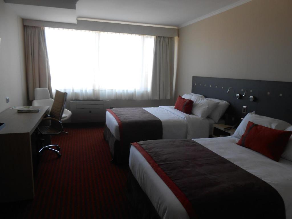 Ecohotel Talca - 3