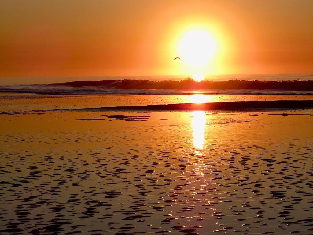 Maitenas Pinamar - 2