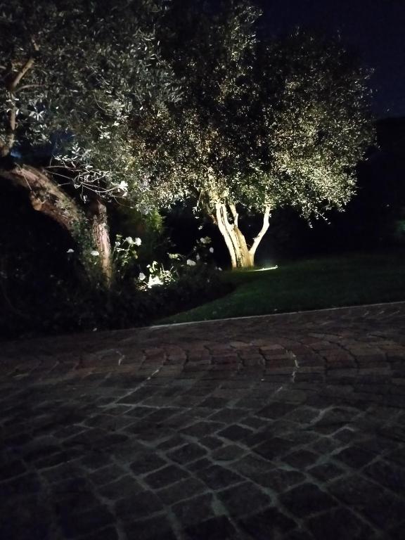 Villa Beatrice - 3
