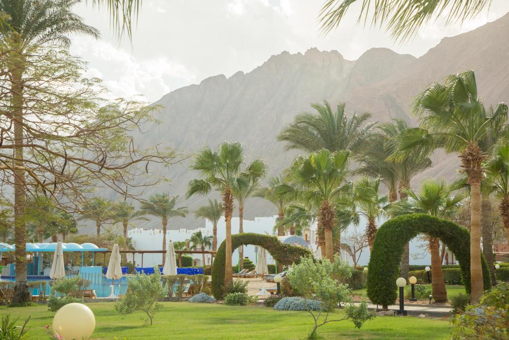 Happy Life Village Dahab — Swimming pool in St. Catherine, South Sinai