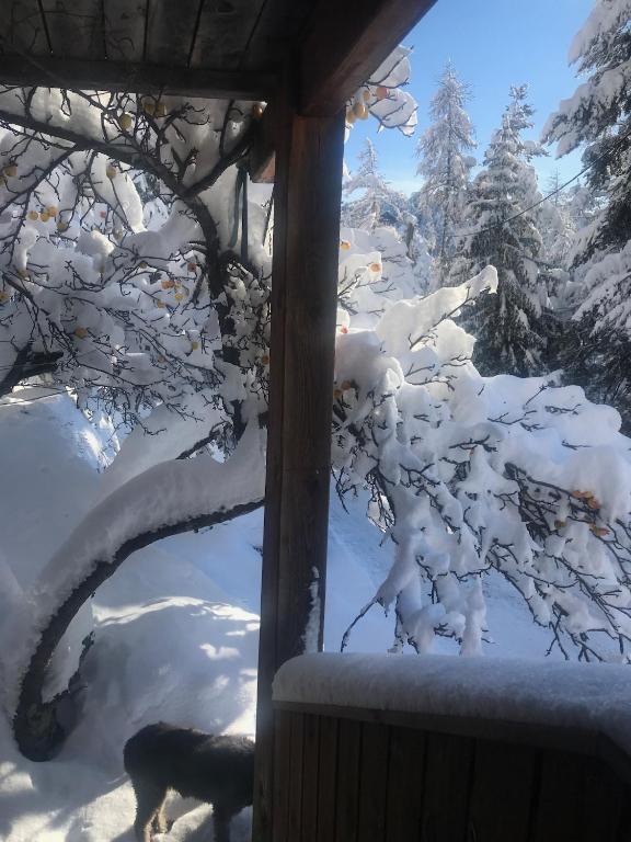 CHALET FAMILIAL AURON - 5
