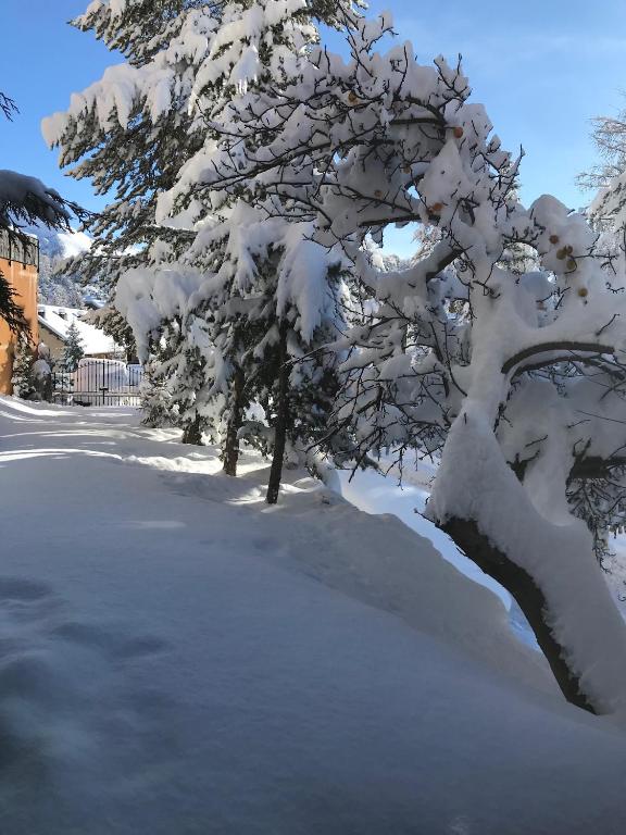 CHALET FAMILIAL AURON - 4
