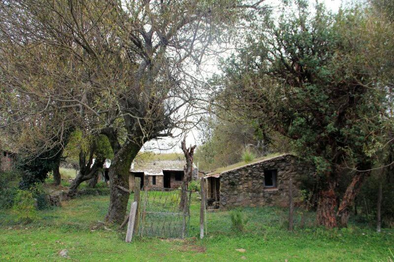 EL GIGANTILLO Refugio de Montaña - 1