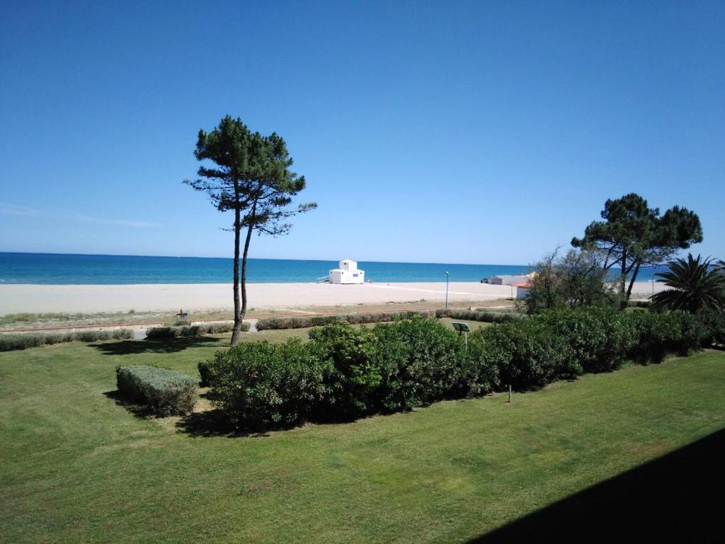 Appartement lumineux à Saint-Cyprien 45 m² vue mer - 2