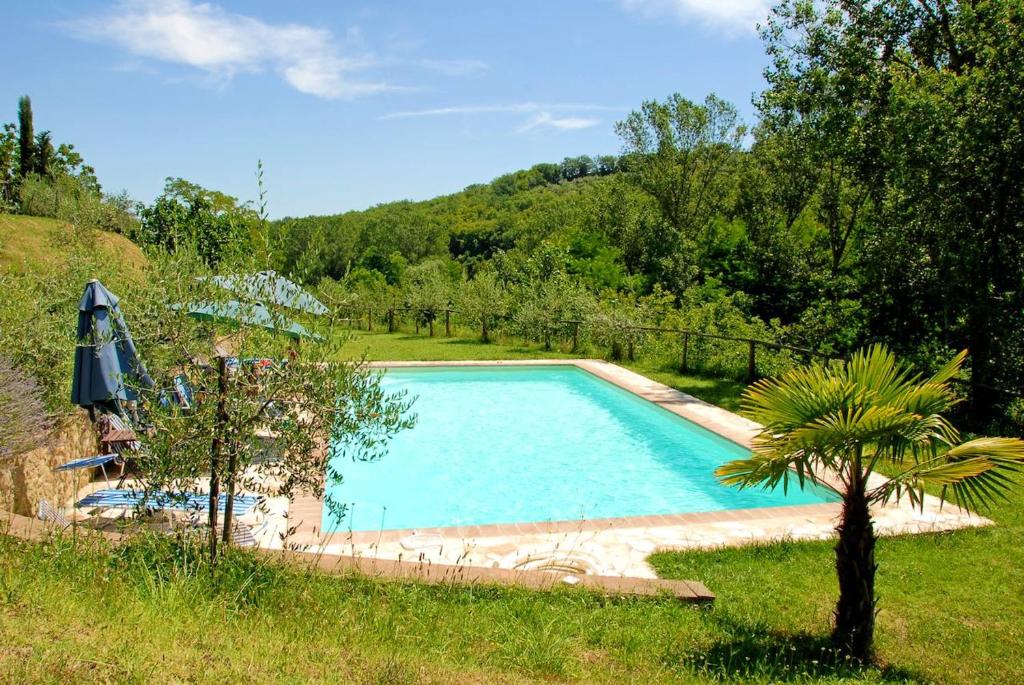 Bright apartment in Montepulciano with shared pool - 45 m² - 5