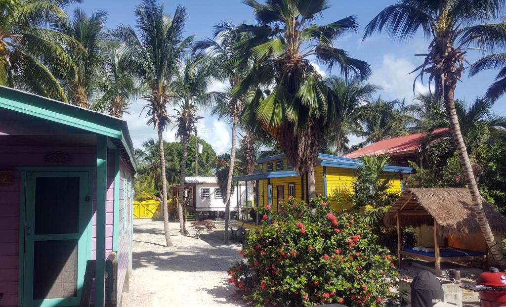 The Gumbo Limbo - Aria Kat Art Cabana photo