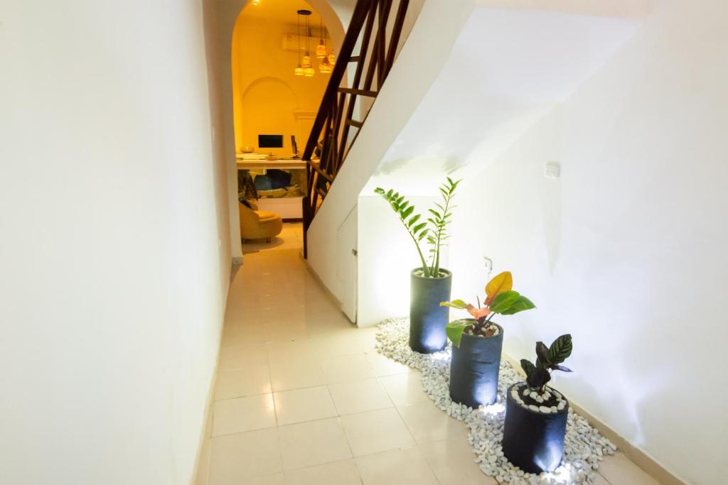 Hotel Mangata photo