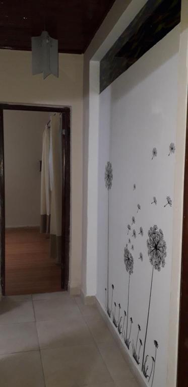 Departamento Ohiggins - 5