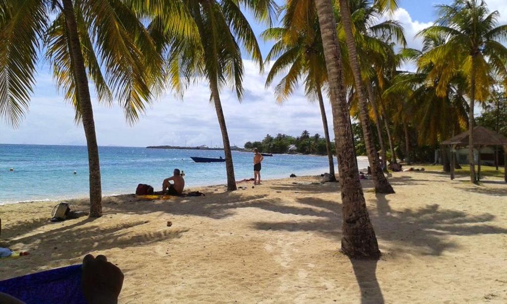 La Trinité Apartments for Rent, Martinique price from 8 of