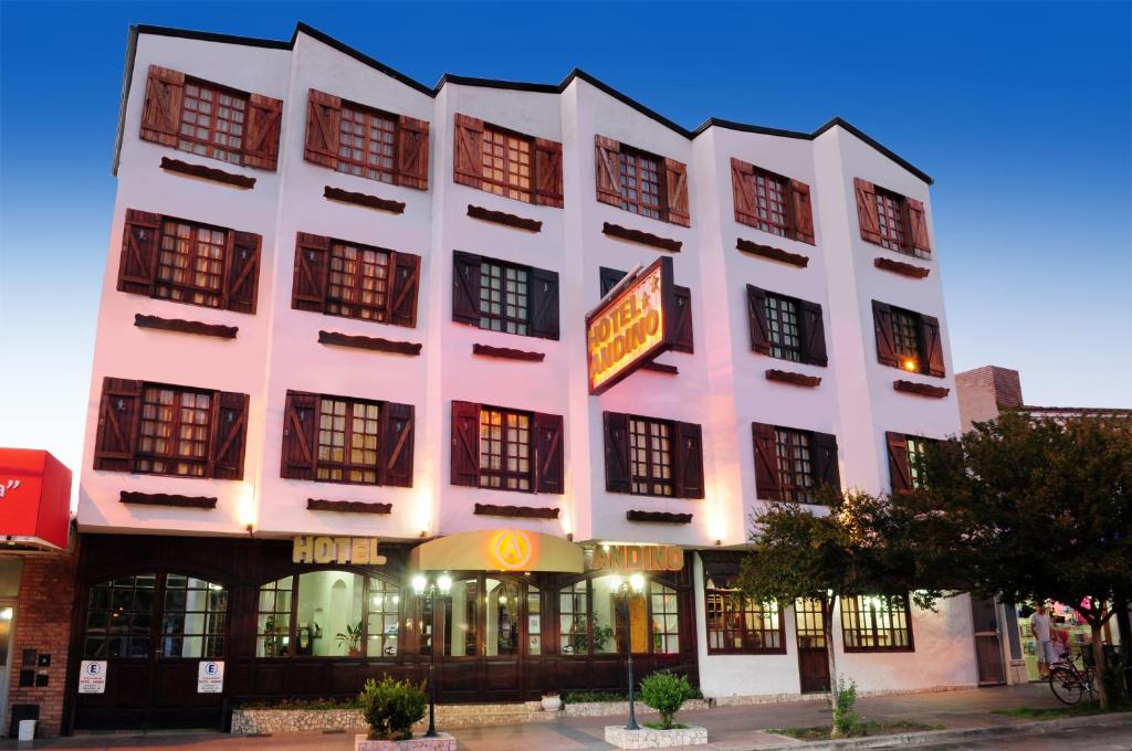 Hotel Andino - 1