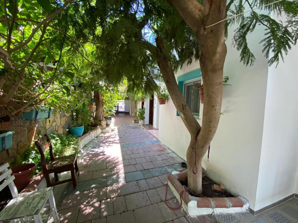 Manolya Hotel photo