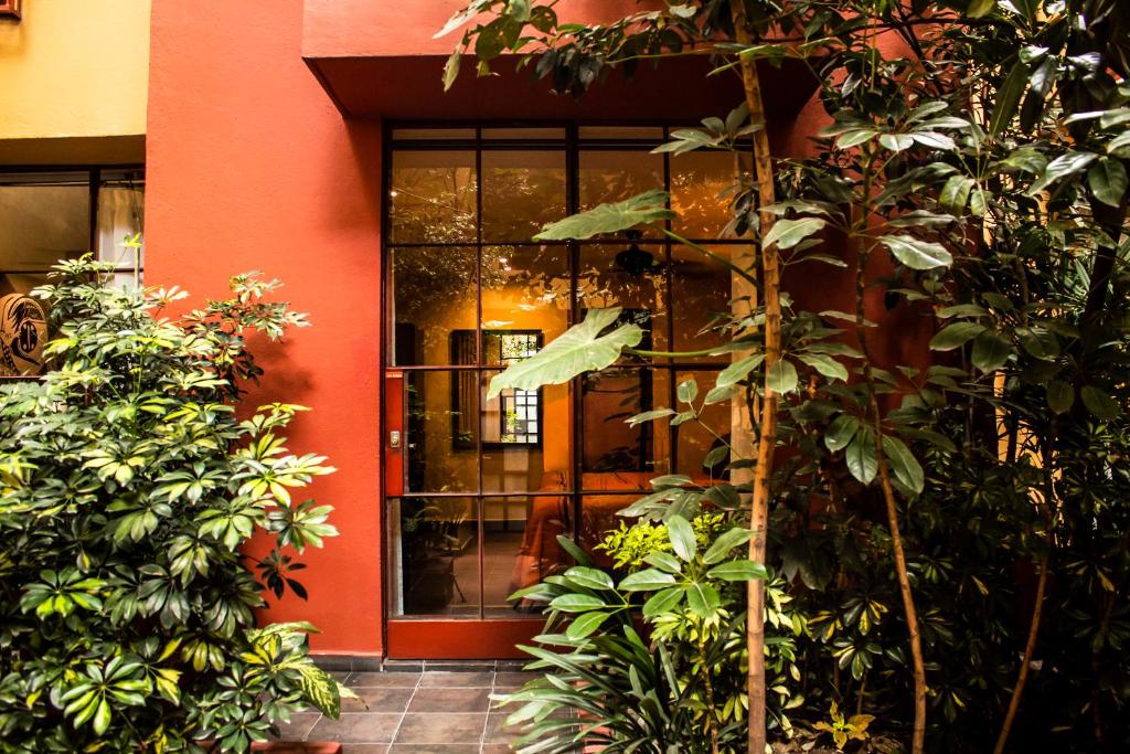 The Red Tree House photo