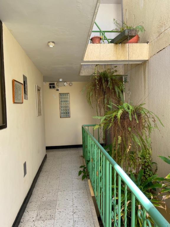 Hotel Granate photo