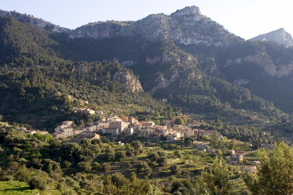 Hotel Nord Boutique — Attractions in the area in Estellencs, Balearic Islands