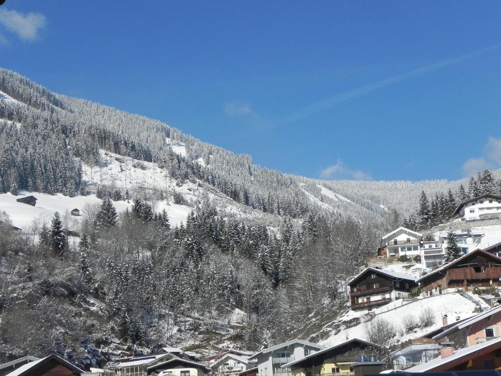 Apartments Chalet Sonnentanz - 3