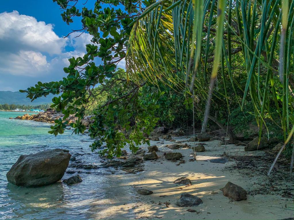 Surrounding environment