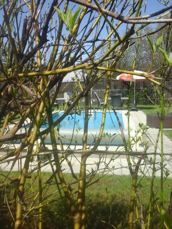 Appartment Andrea - 5
