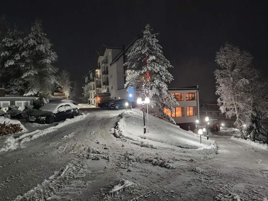 Harmonija Resort - Harmonija Kopaonik - 5