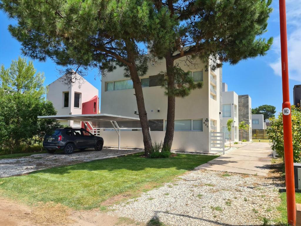 DOS PINOS - 2