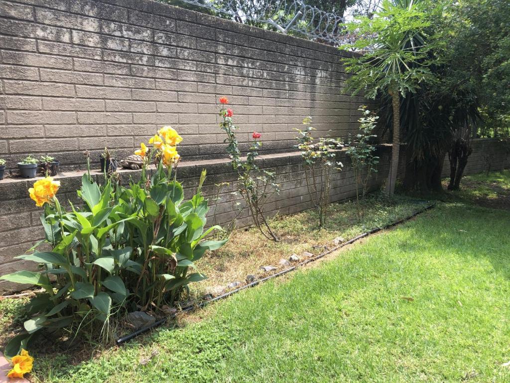 Casa del Retoño - 2