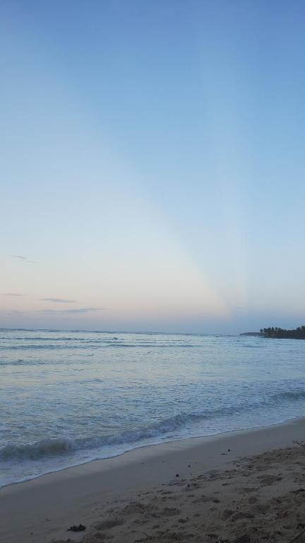 YES PAPA! Rooms at 100m from the beach! photo