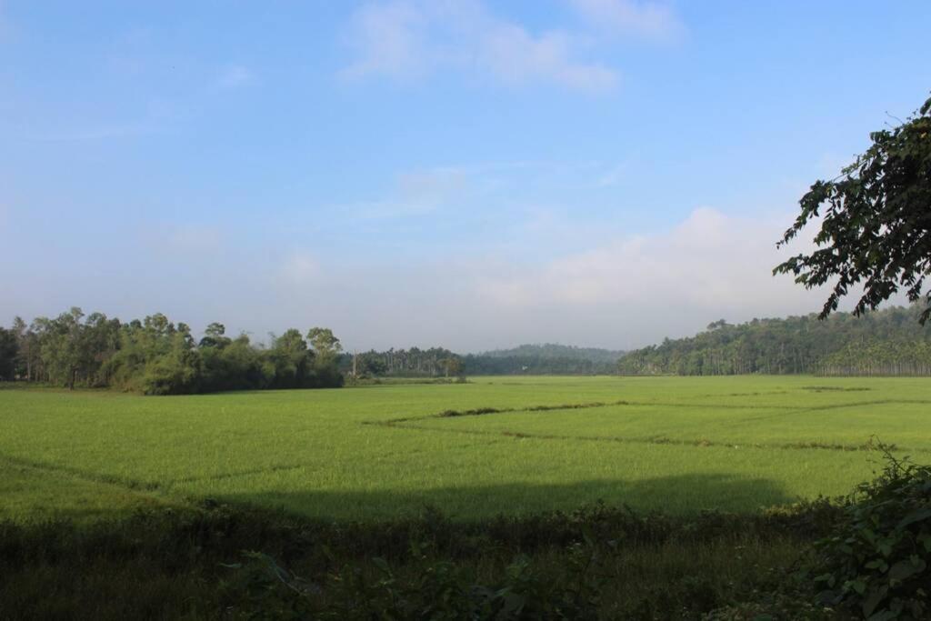 Wayal Wayanad Twin Villa photo